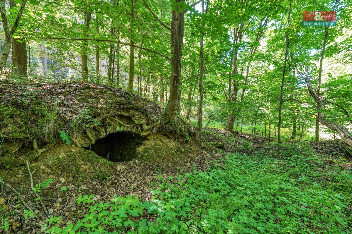 Prodej pozemku k bydlení, 5096 m², Hostouň, ul. Slatina