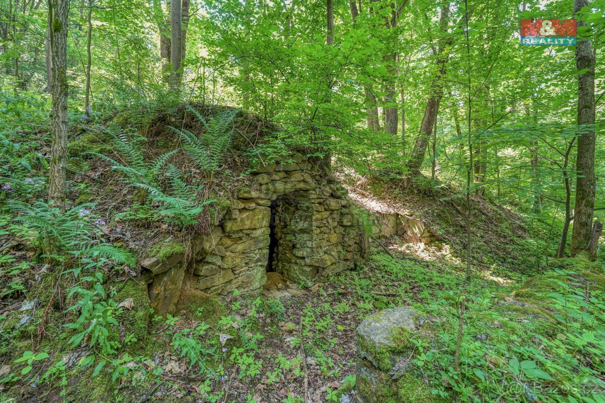 Prodej pozemku k bydlení, 5096 m², Hostouň, ul. Slatina