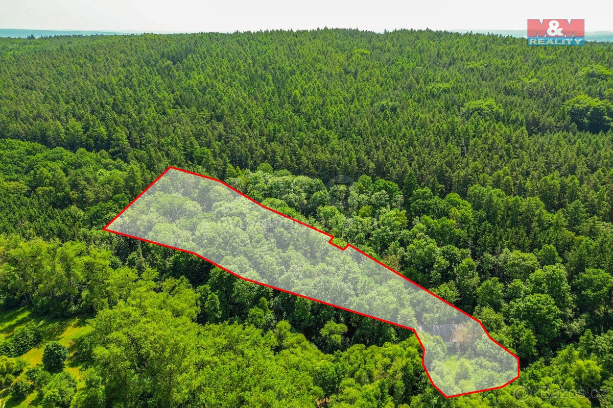 Prodej pozemku k bydlení, 5096 m², Hostouň, ul. Slatina