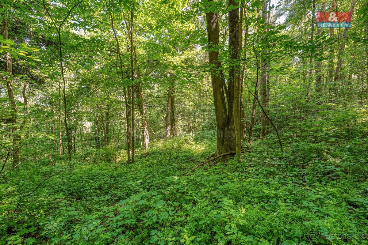 Prodej pozemku k bydlení, 5096 m², Hostouň, ul. Slatina