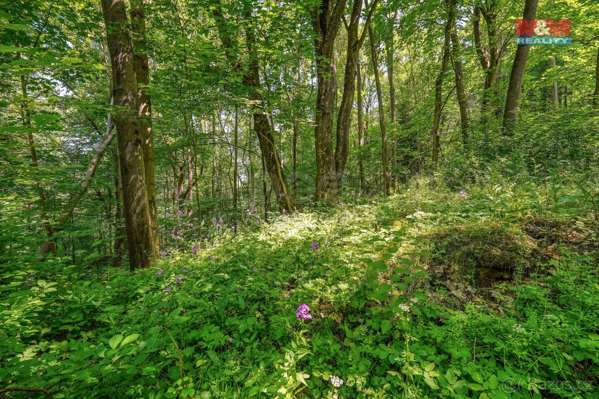 Prodej pozemku k bydlení, 5096 m², Hostouň, ul. Slatina