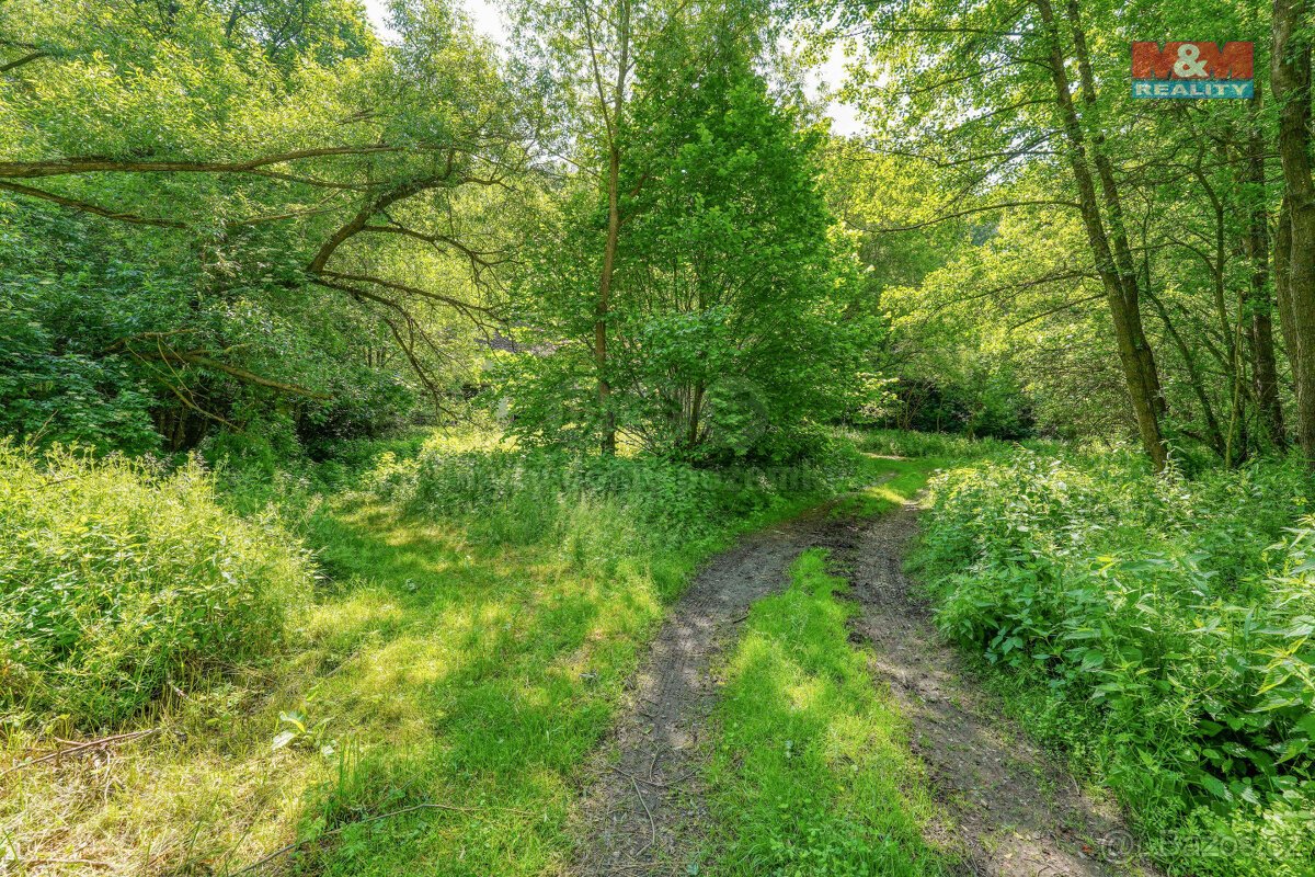 Prodej pozemku k bydlení, 5096 m², Hostouň, ul. Slatina