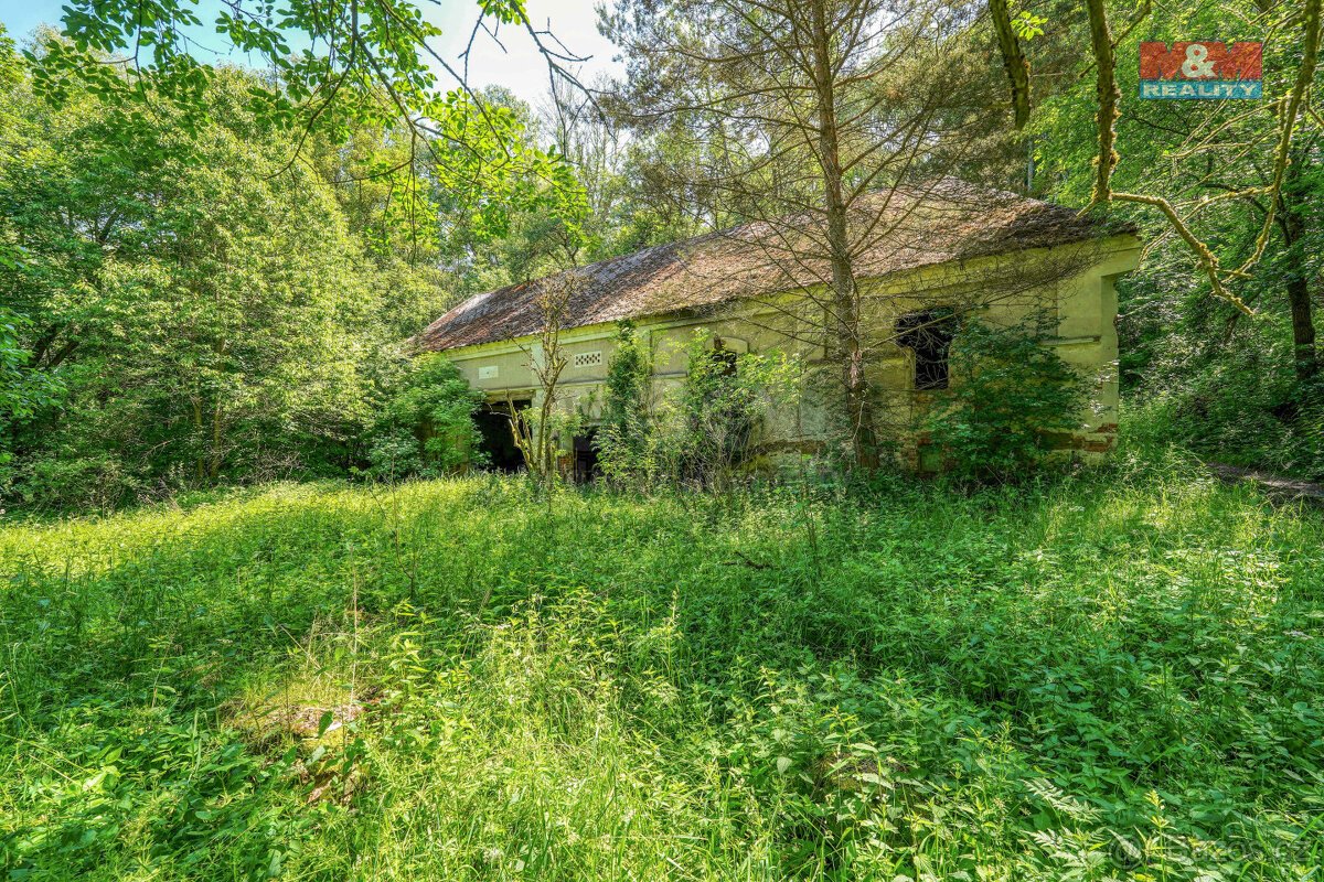 Prodej pozemku k bydlení, 5096 m², Hostouň, ul. Slatina