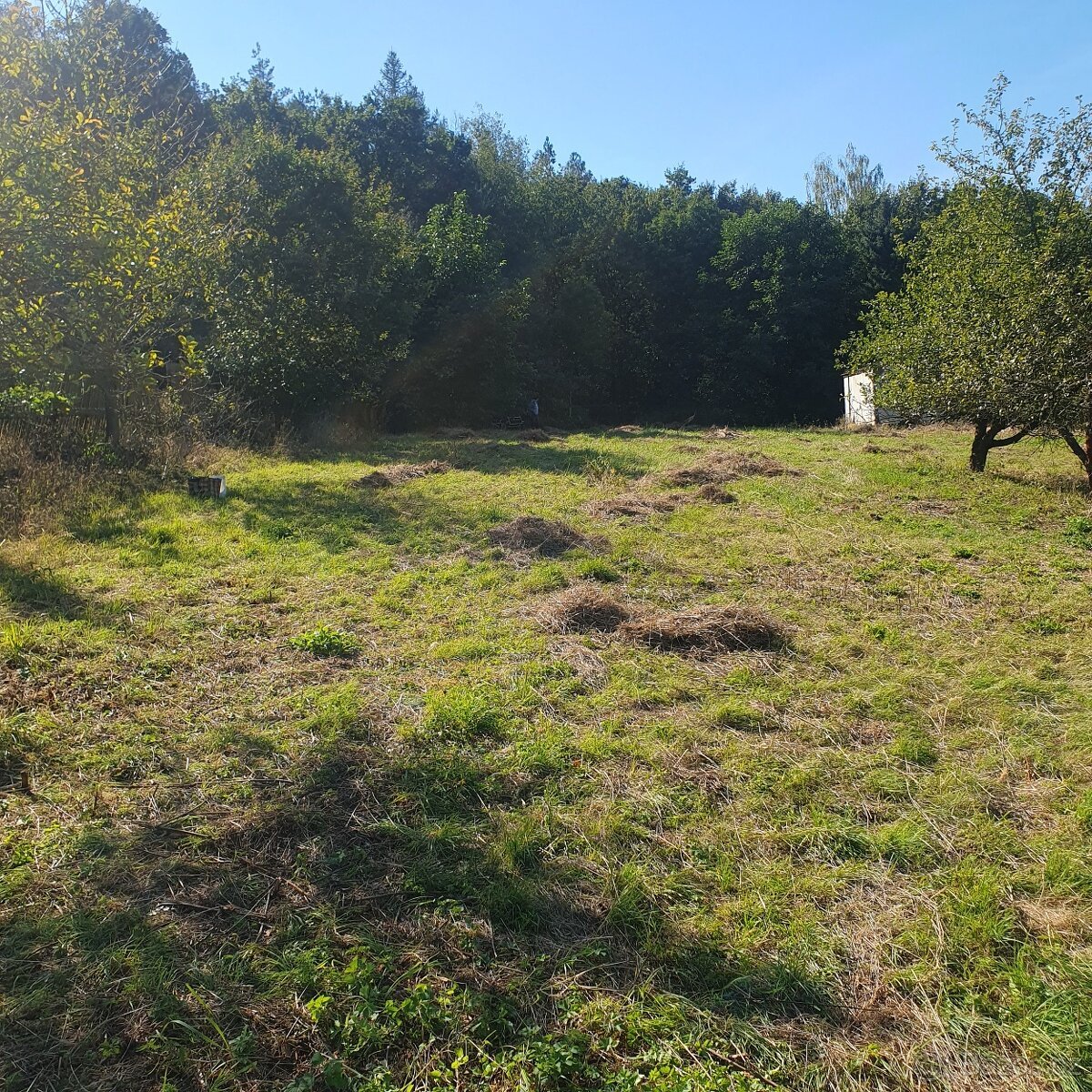 Prodám krásný pozemek ve vyhledávané rekreační oblasti