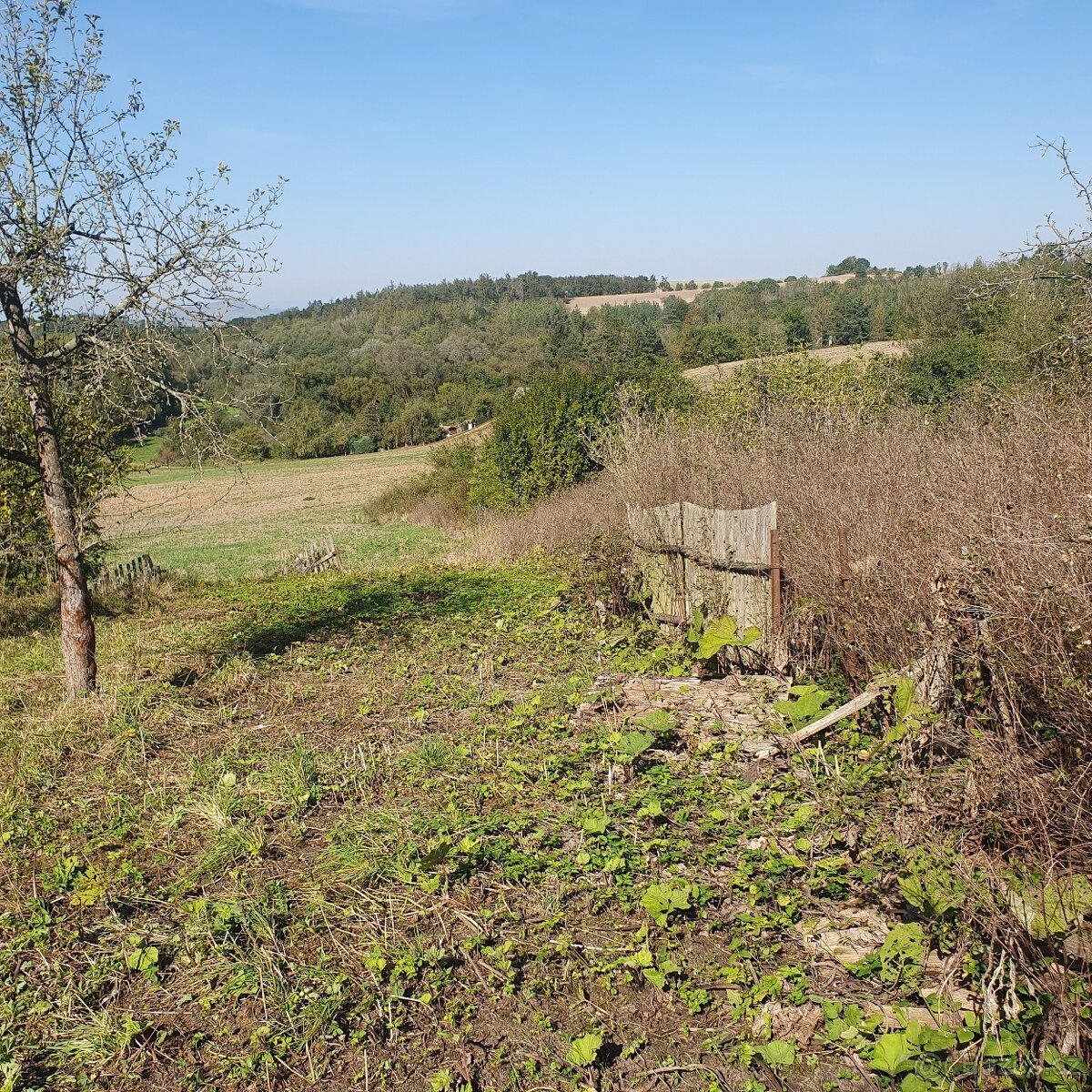 Prodám krásný pozemek ve vyhledávané rekreační oblasti
