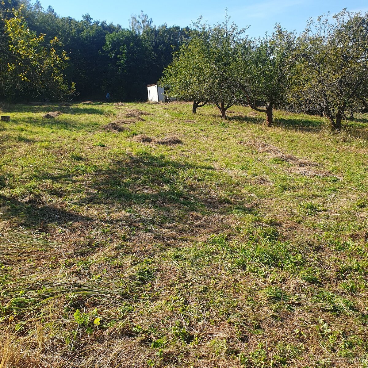 Prodám krásný pozemek ve vyhledávané rekreační oblasti