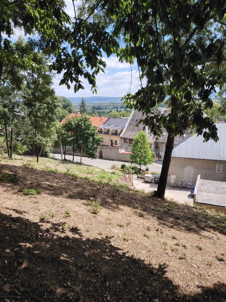 Prodej pozemku určené k rekreaci, krásné a klidné místo 2495
