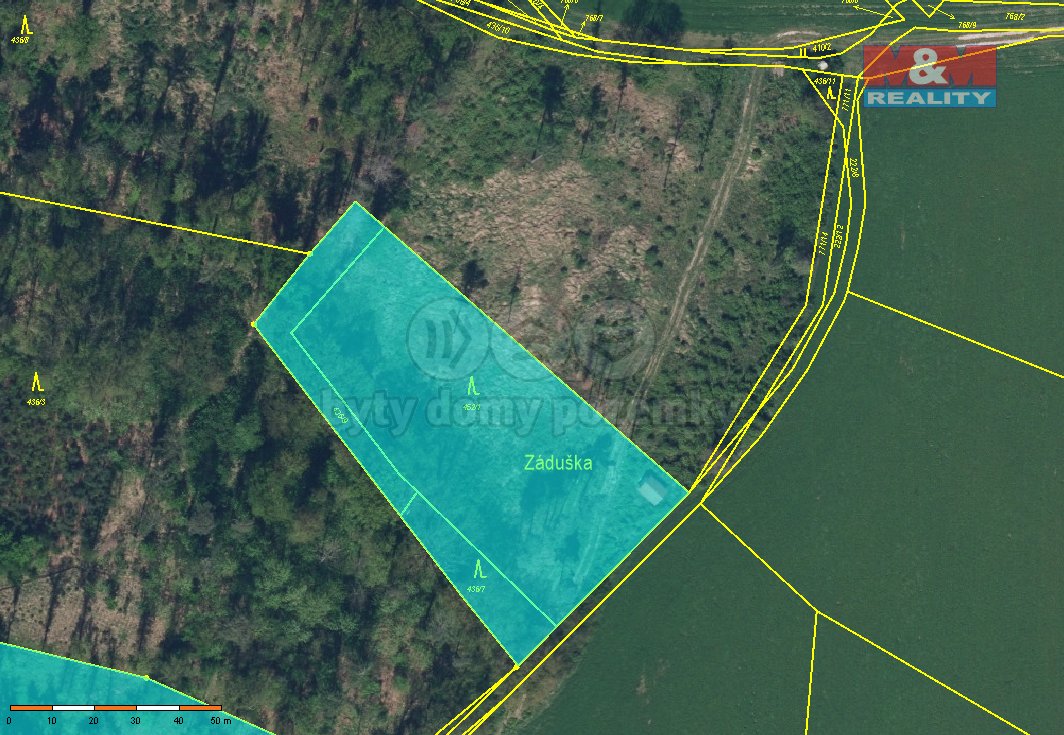 Prodej lesa, 19927 m², Dobruška