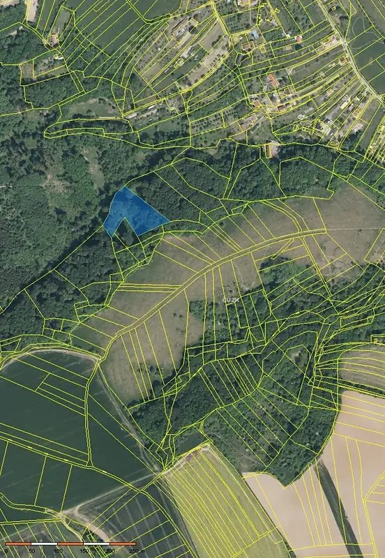 Prodej lesa 6255 m² Žlutava