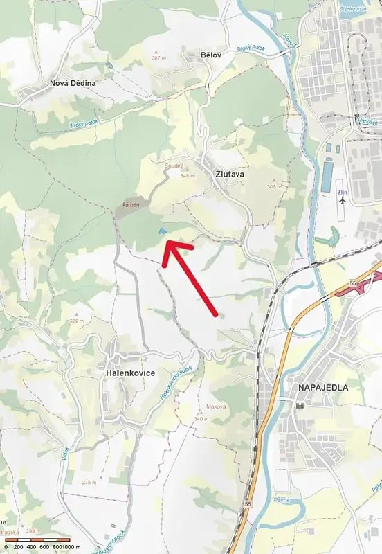 Prodej lesa 6255 m² Žlutava
