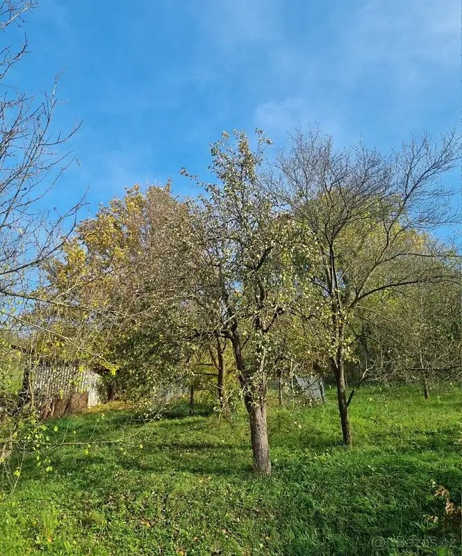 Prodej stavebního pozemku 1367 m² Prakšice