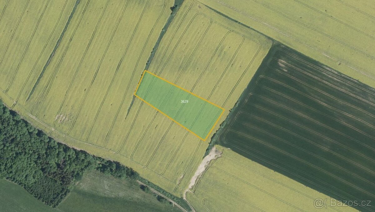 Zemědělská půda, prodej, Lično, Rychnov nad Kněžnou