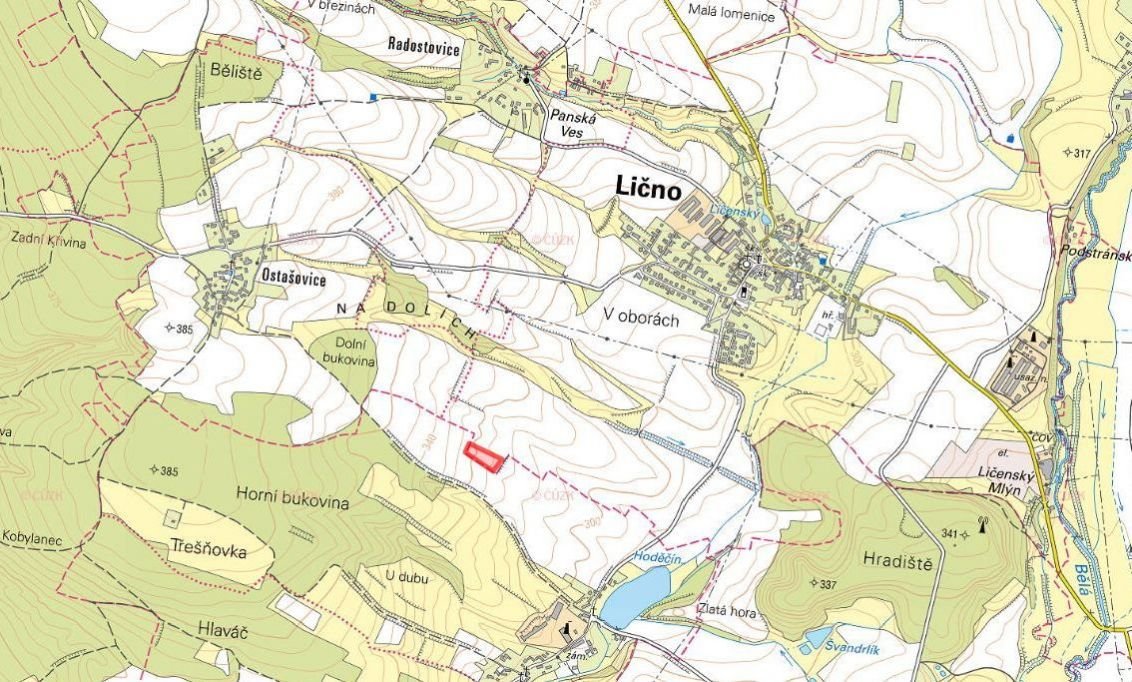 Zemědělská půda, prodej, Lično, Rychnov nad Kněžnou