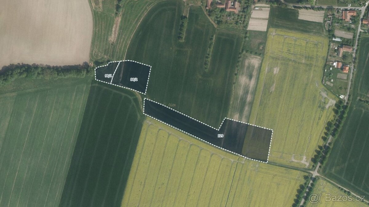 Les, prodej, Radhošť, Ústí nad Orlicí