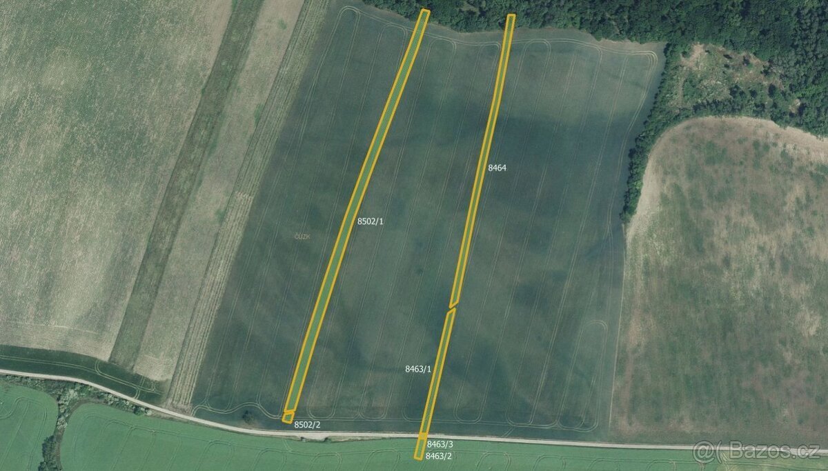 Zemědělská půda, prodej, Borkovany, Břeclav