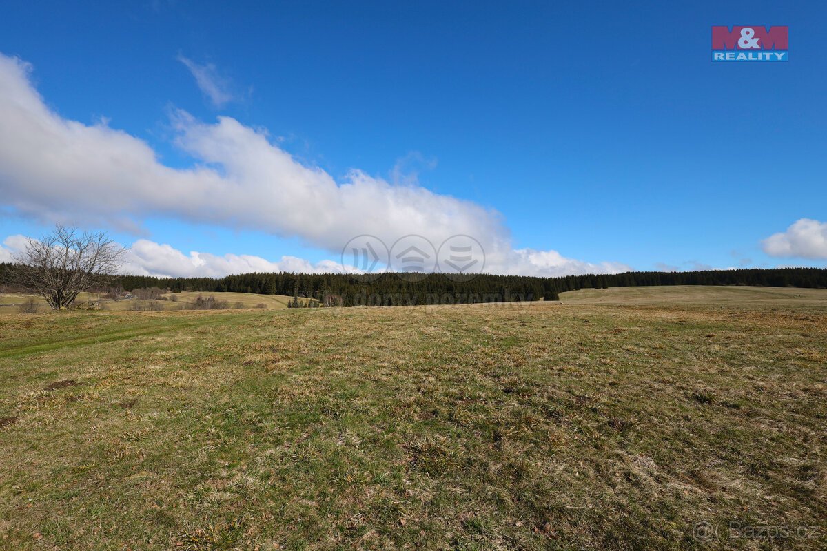 Prodej louky, 34345 m², Pernink