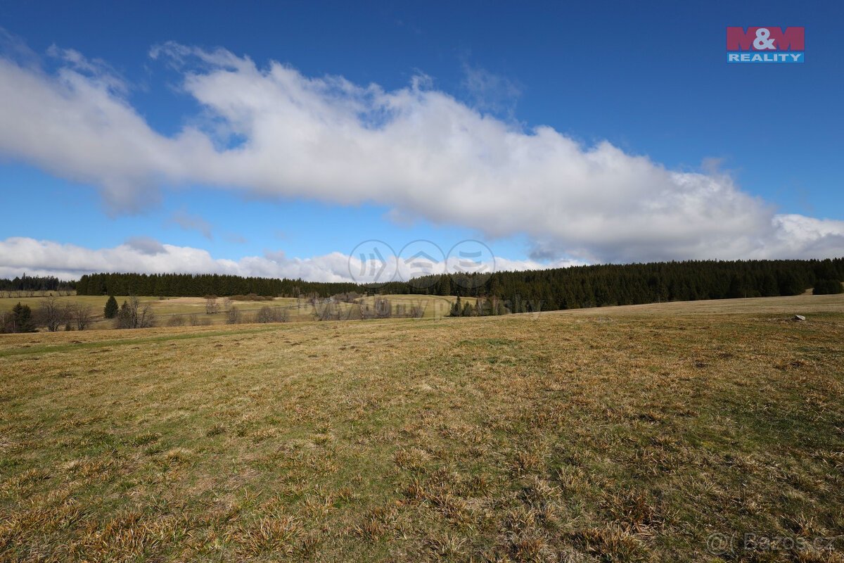 Prodej louky, 34345 m², Pernink