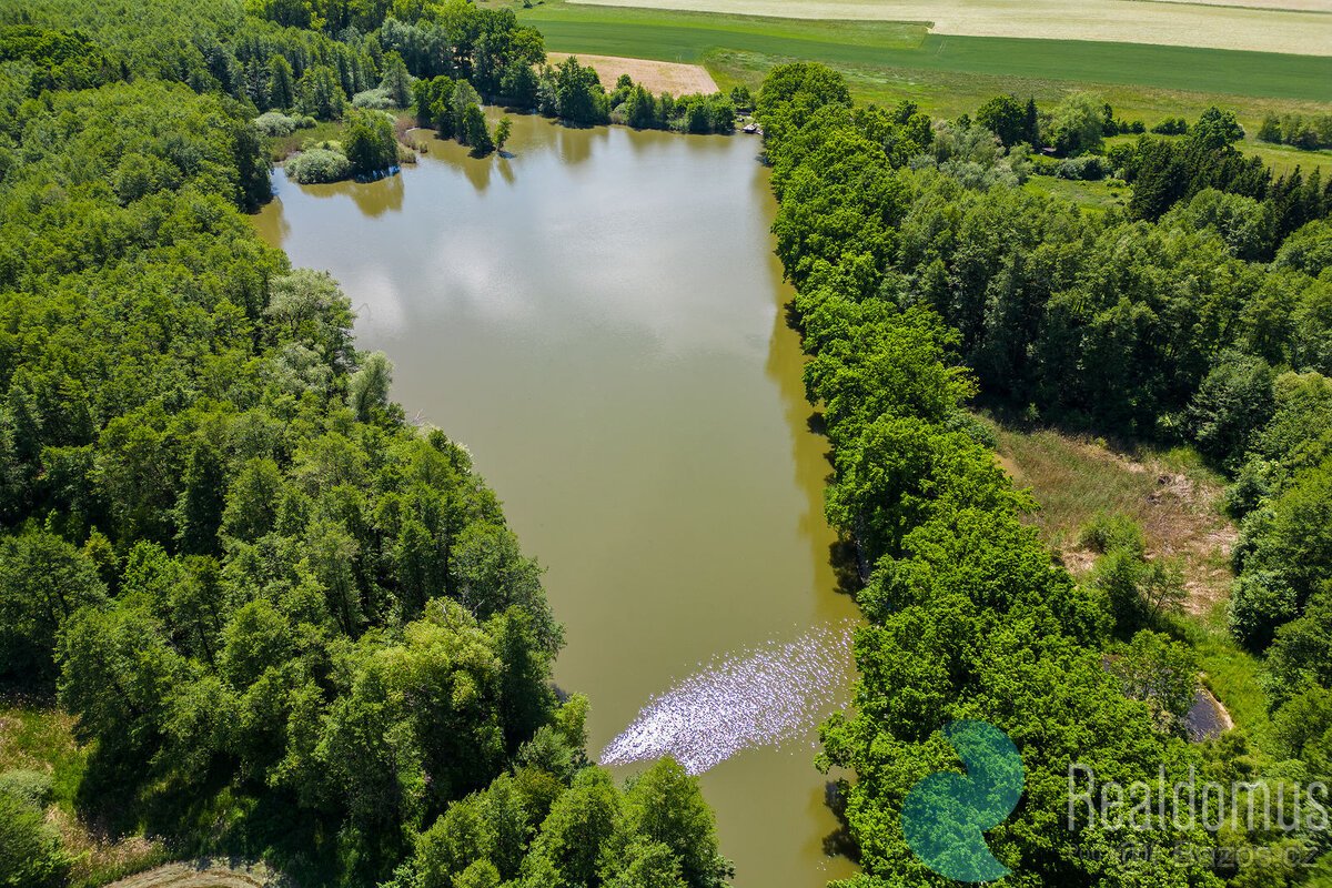Prodej, výjimečný pozemek, pro bydlení, 6.111 m2, Hradec Krá