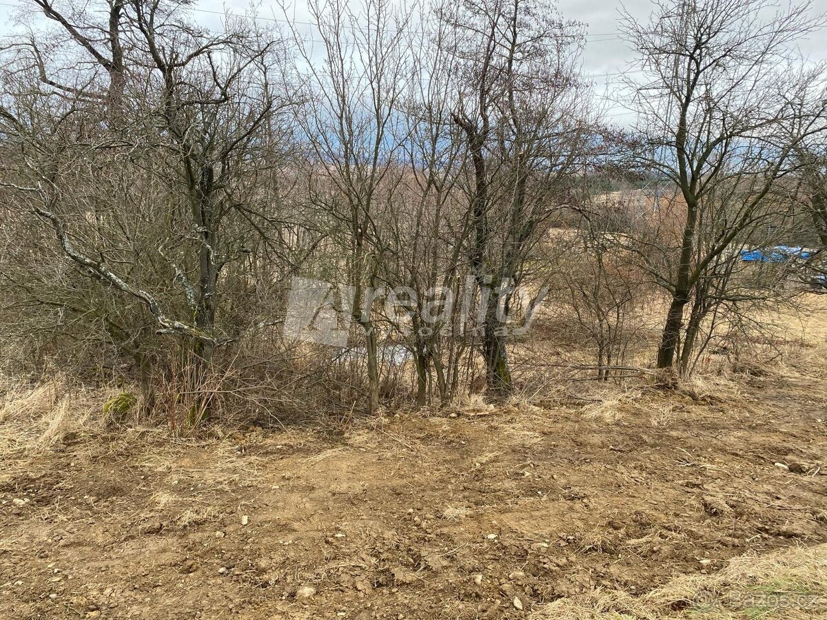 Prodej stavebního pozemku, Nová Brtnice, ev.č. 01911