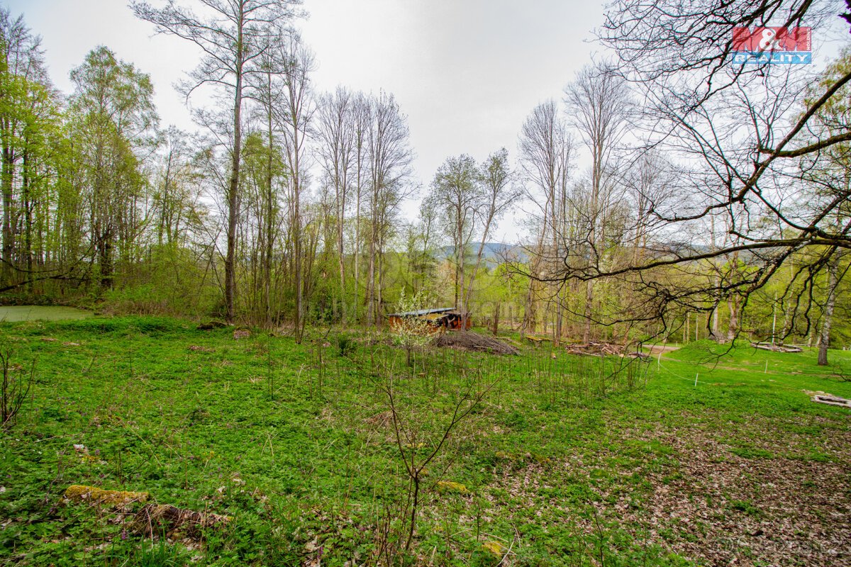 Prodej pozemku k bydlení, 5684 m², Kašperské Hory