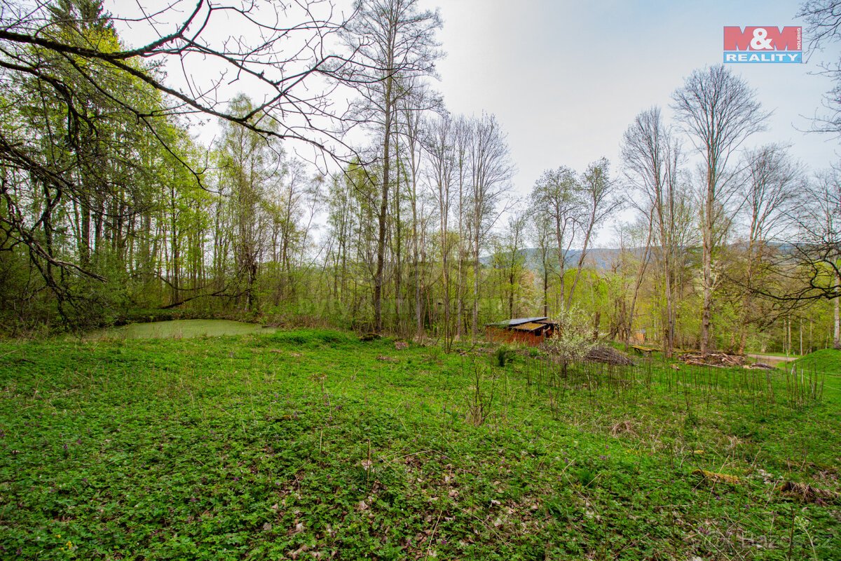 Prodej pozemku k bydlení, 5684 m², Kašperské Hory