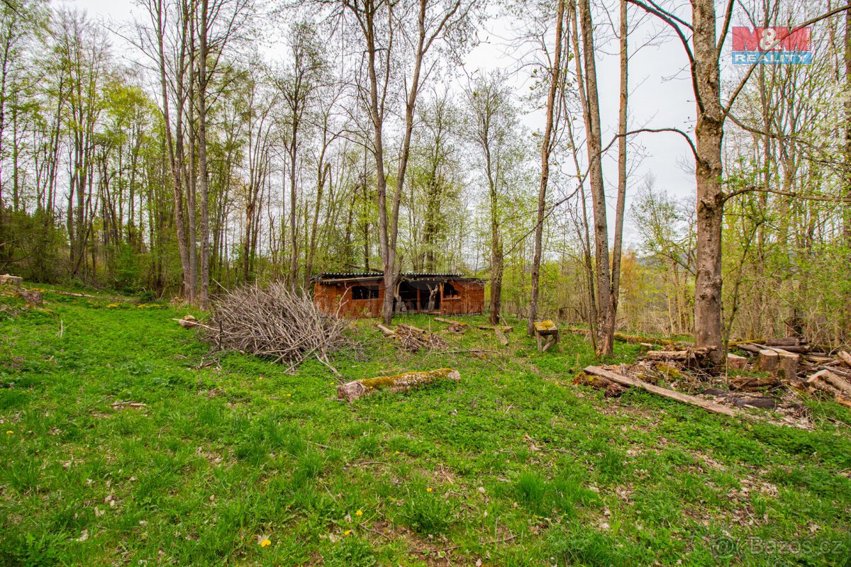 Prodej pozemku k bydlení, 5684 m², Kašperské Hory