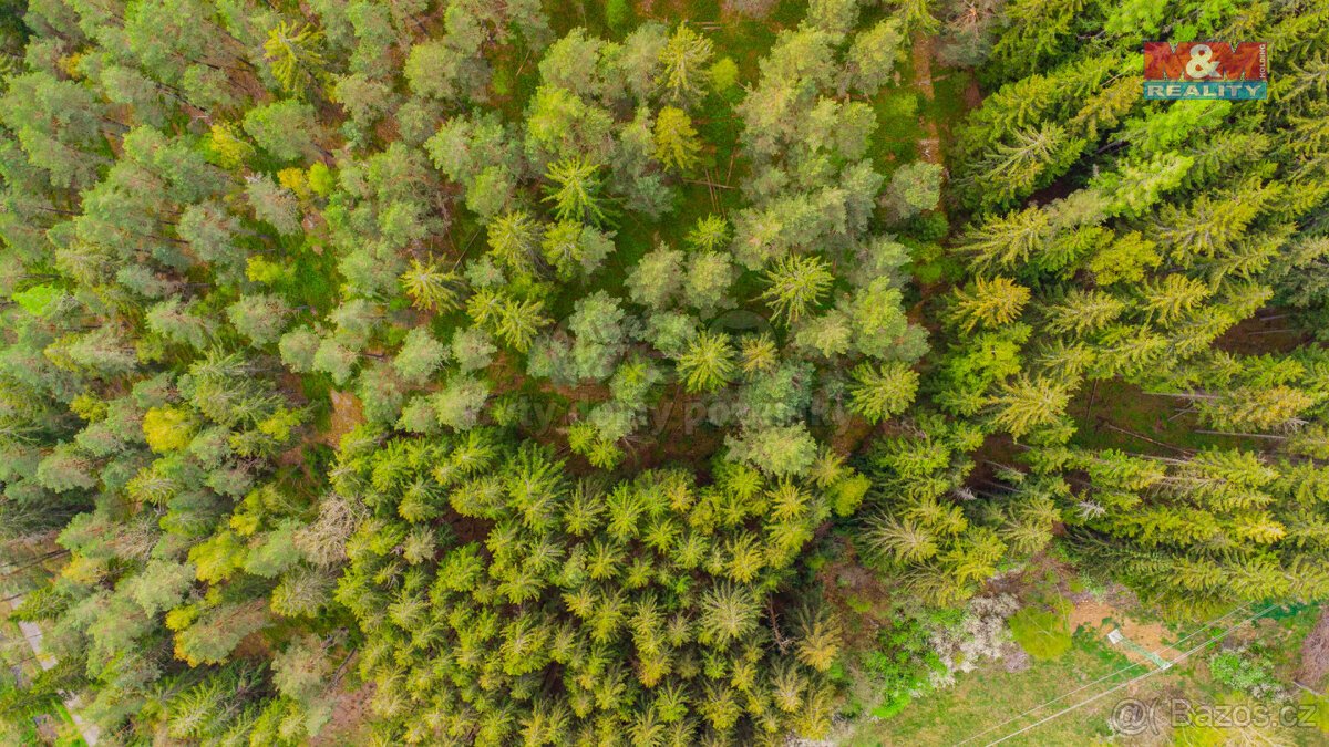 Prodej pozemku k bydlení, 5684 m², Kašperské Hory