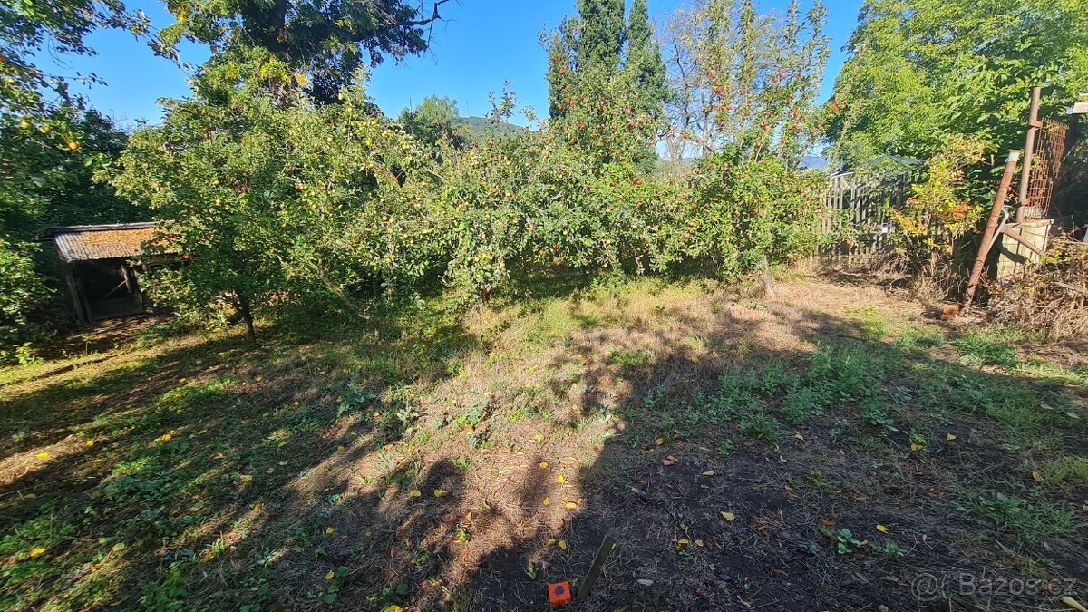 Prodej zahrady s chatkou v Ústí nad Labem – centrum