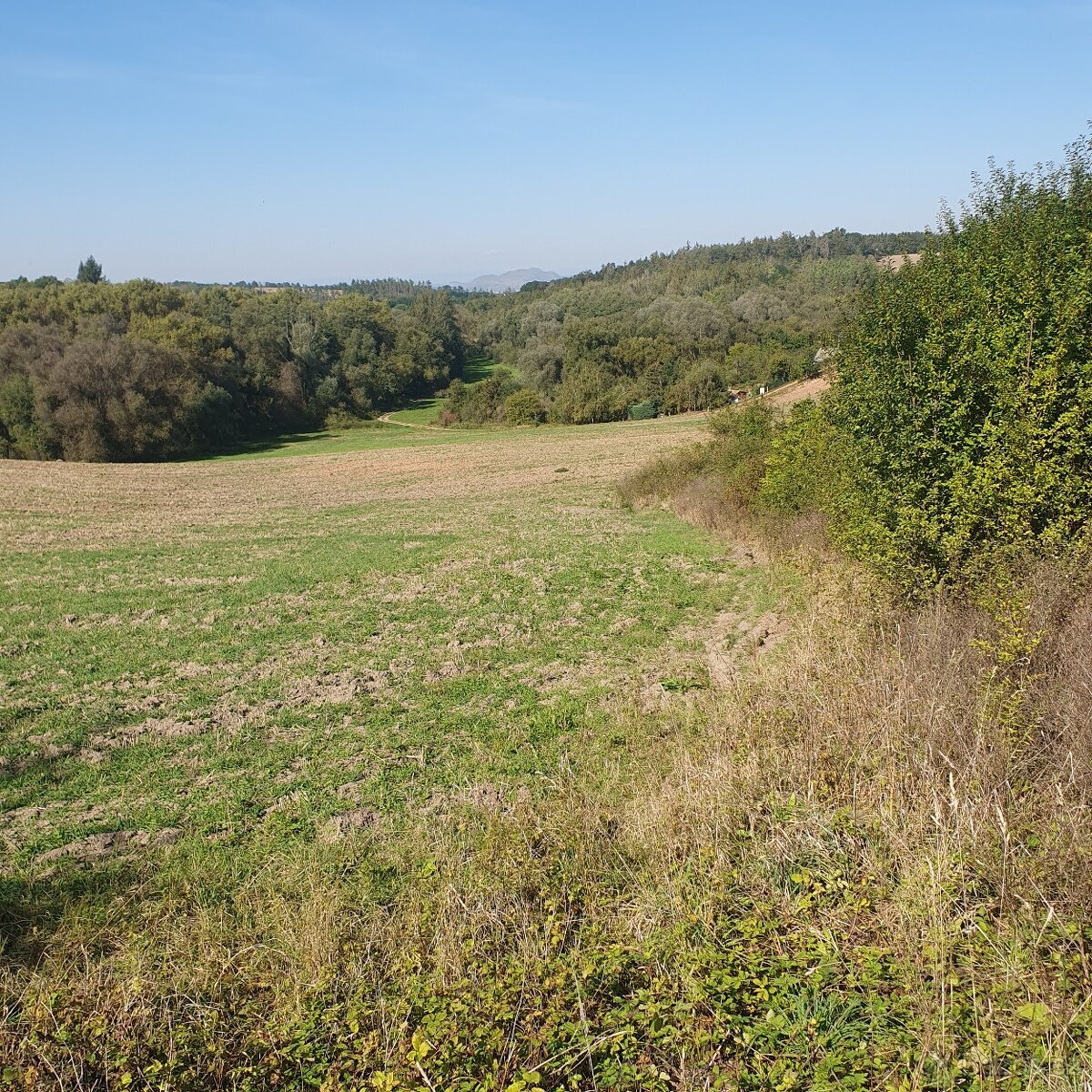 Prodám krásný pozemek za obcí Smolnice u Loun