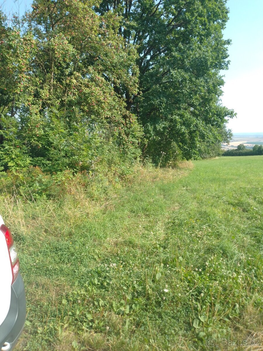 Krásný pozemek v luxusní přírodě. Neváhejte: Les, louka....
