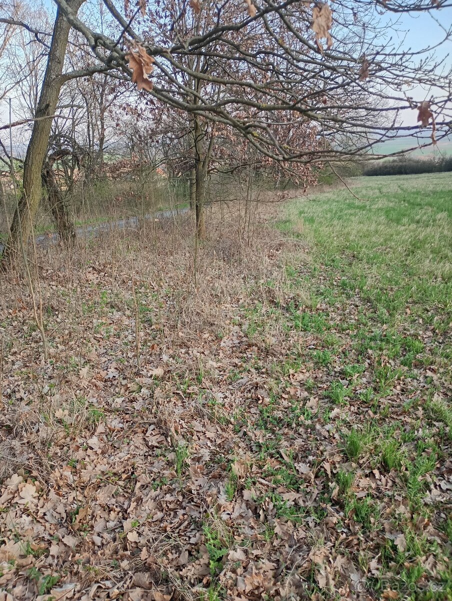 Krásný pozemek v luxusní přírodě. Neváhejte: Les, louka....