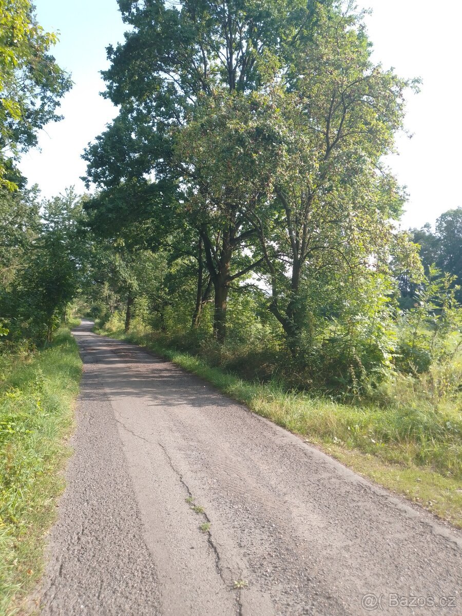 Krásný pozemek v luxusní přírodě. Neváhejte: Les, louka....
