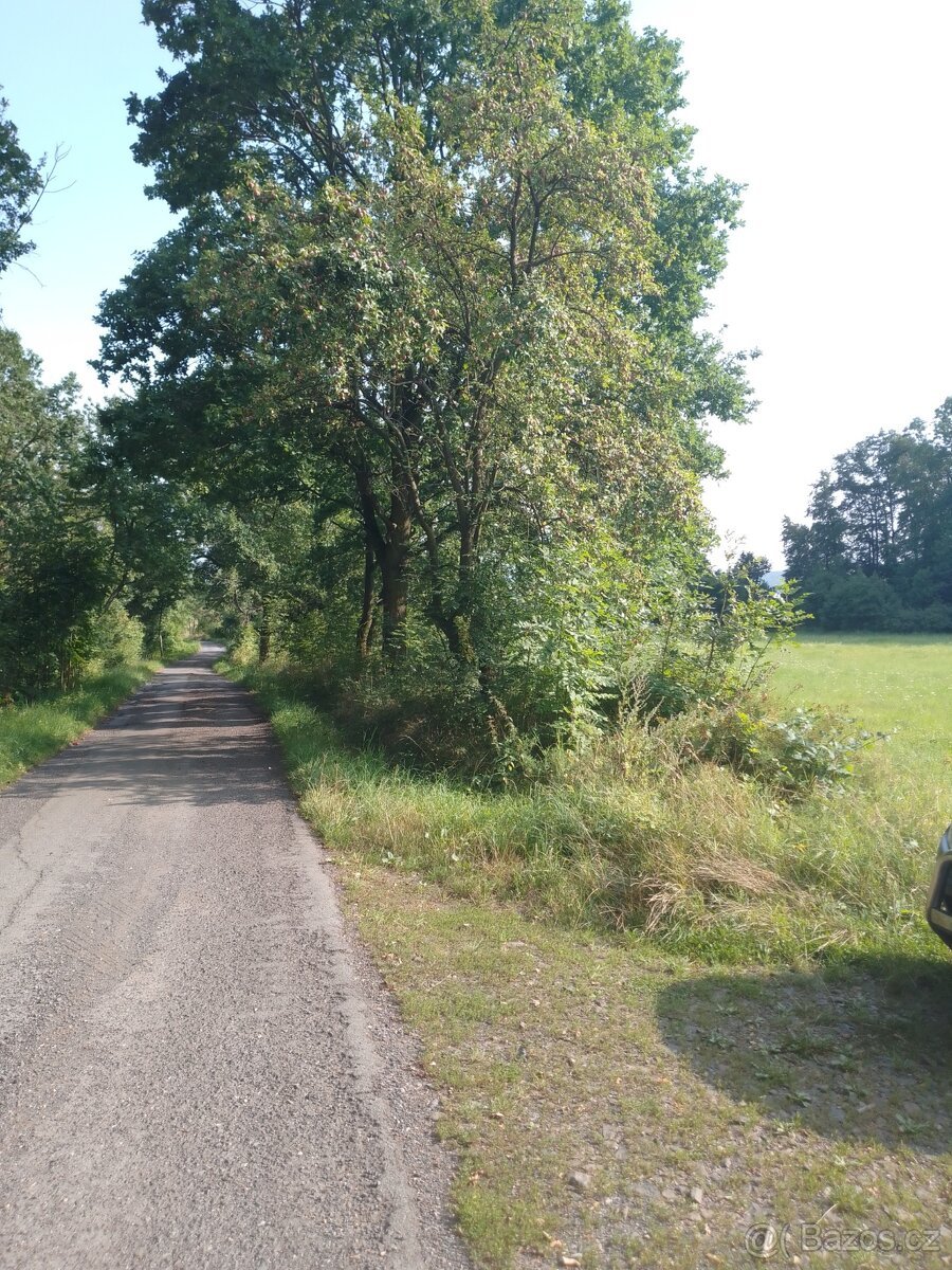 Krásný pozemek v luxusní přírodě. Neváhejte: Les, louka....