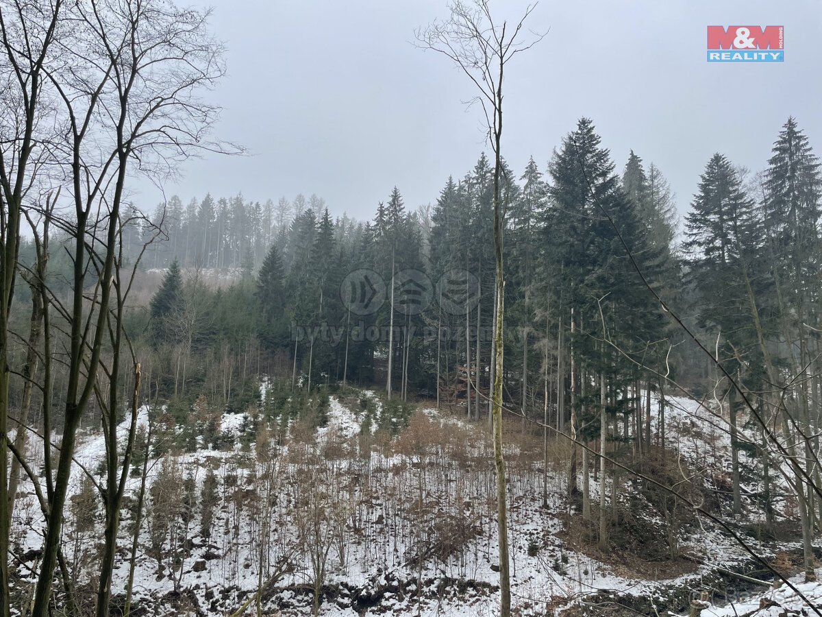 Prodej, les, 12219 m2, Smrčí u Semil, Záhoří