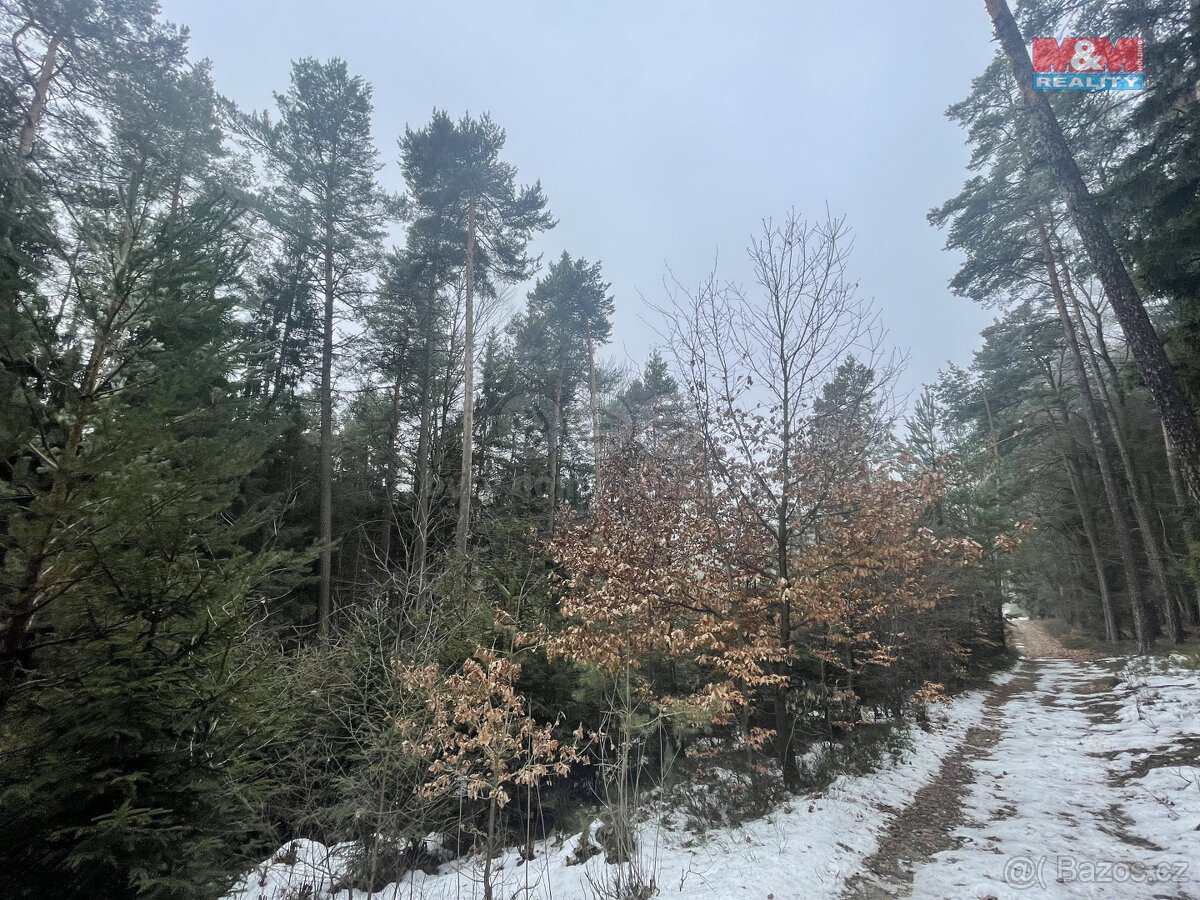Prodej, les, 12219 m2, Smrčí u Semil, Záhoří