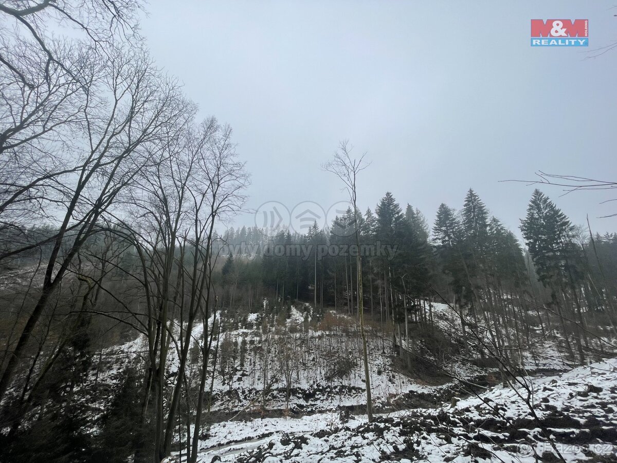 Prodej, les, 12219 m2, Smrčí u Semil, Záhoří