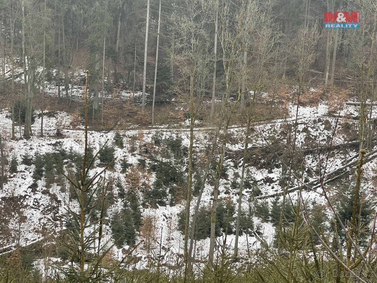 Prodej, les, 12219 m2, Smrčí u Semil, Záhoří