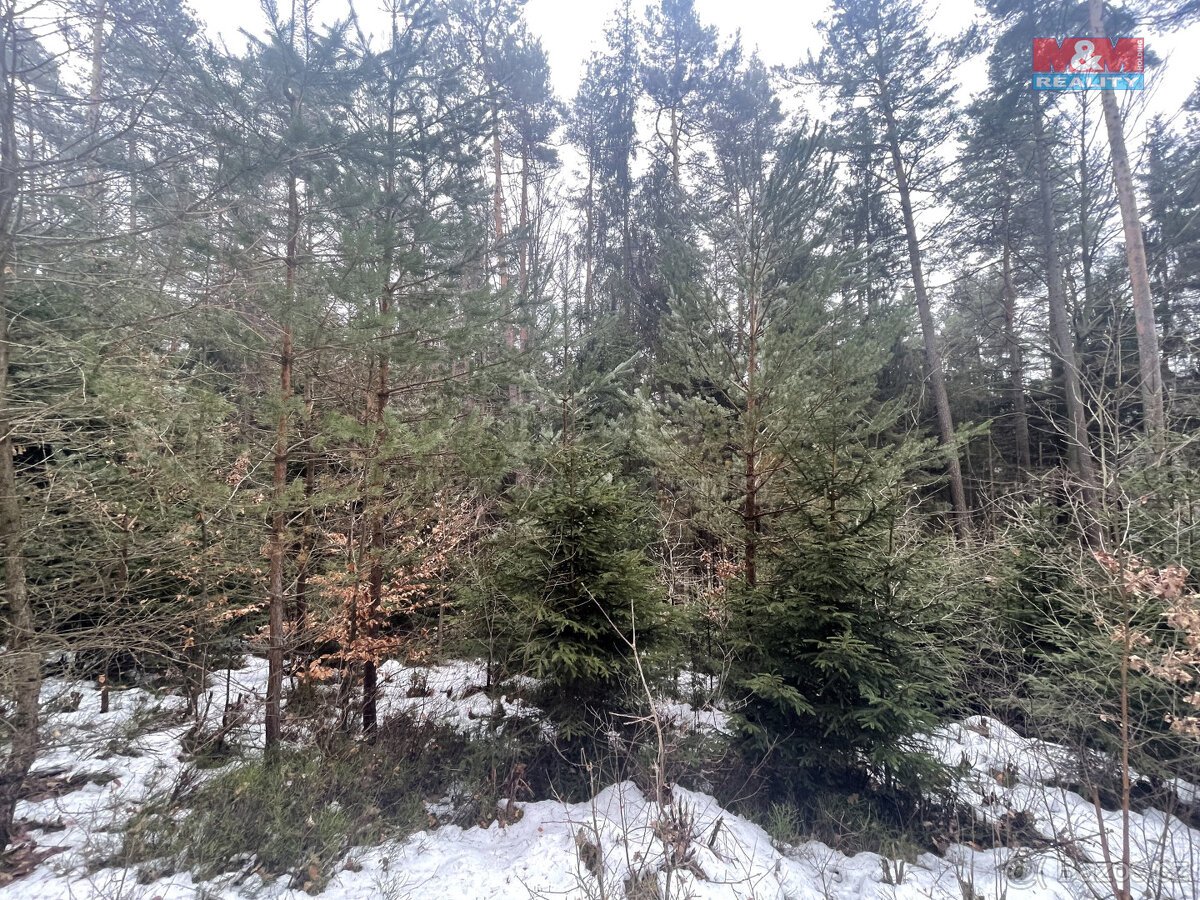 Prodej, les, 12219 m2, Smrčí u Semil, Záhoří