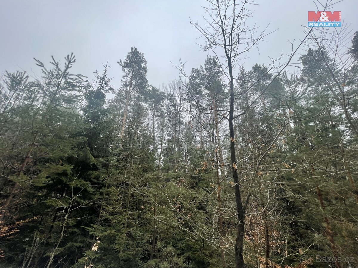 Prodej, les, 12219 m2, Smrčí u Semil, Záhoří