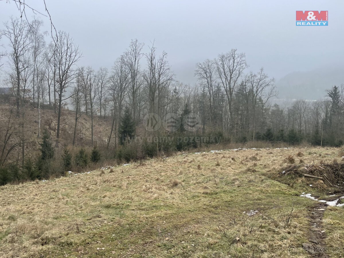 Prodej, les, 33054 m2, Košťálov