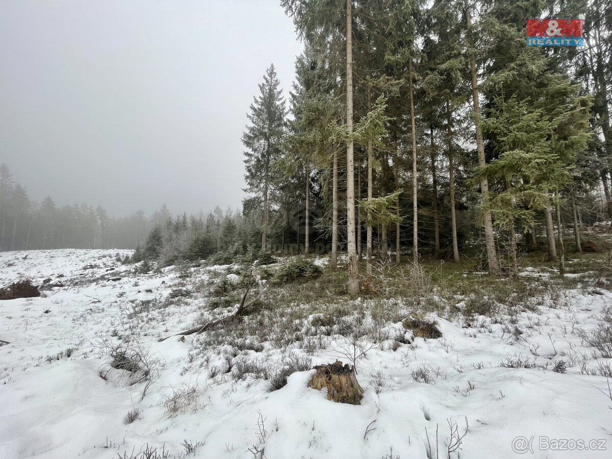 Prodej, les, 10412 m2, Pecka, Vidonice