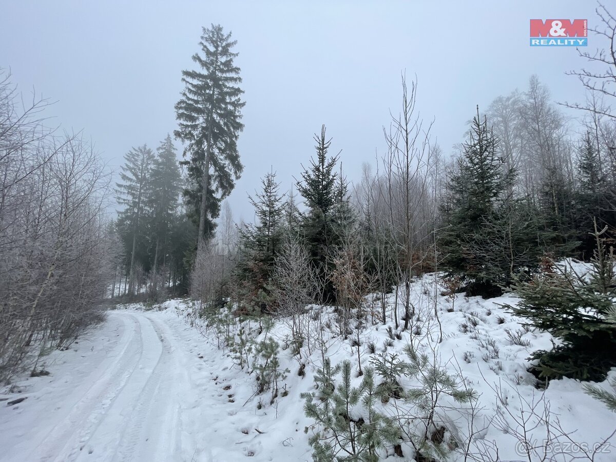 Prodej, les, 10412 m2, Pecka, Vidonice