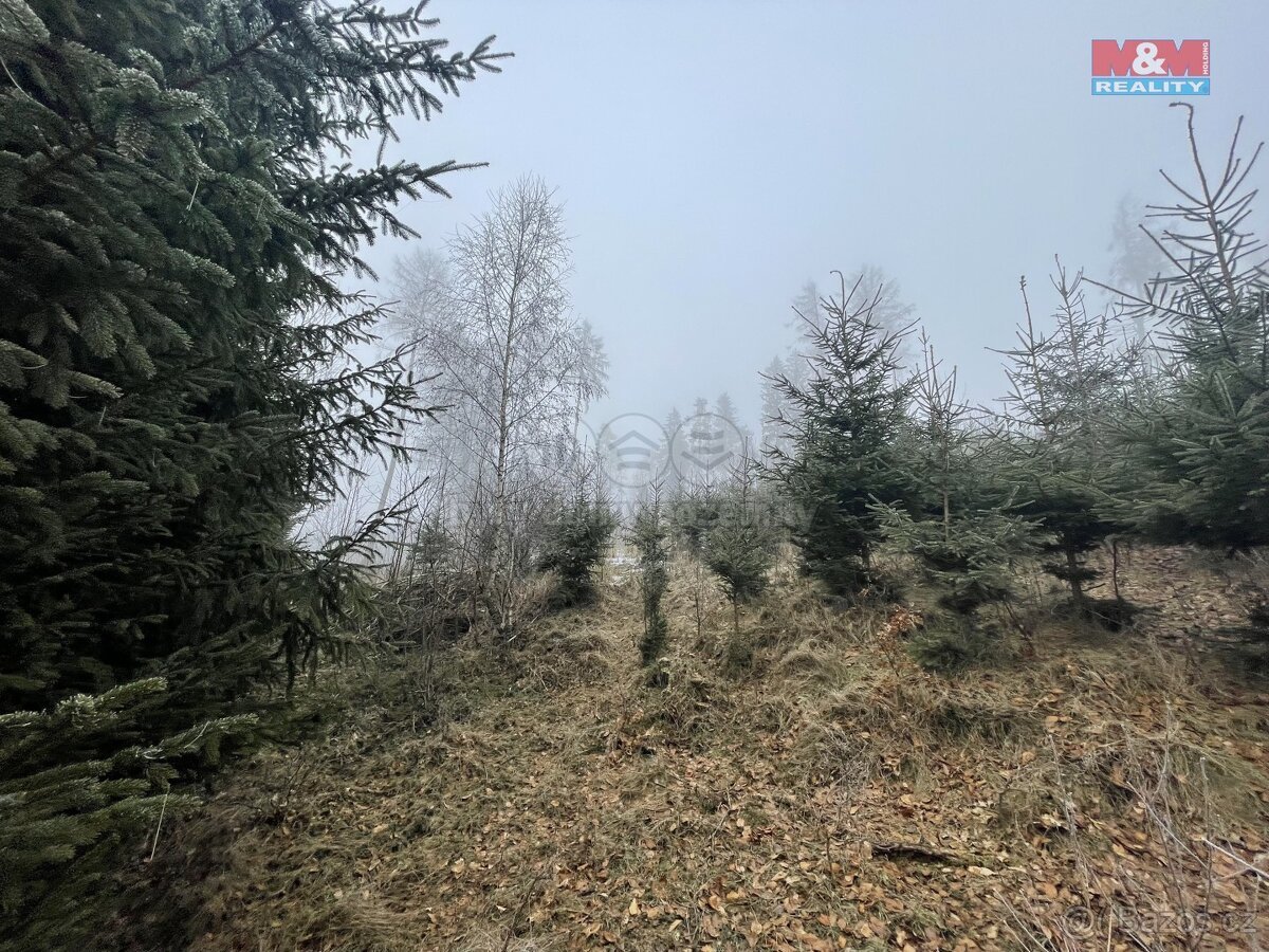 Prodej, les, 20974 m2, Ústí u Staré Paky