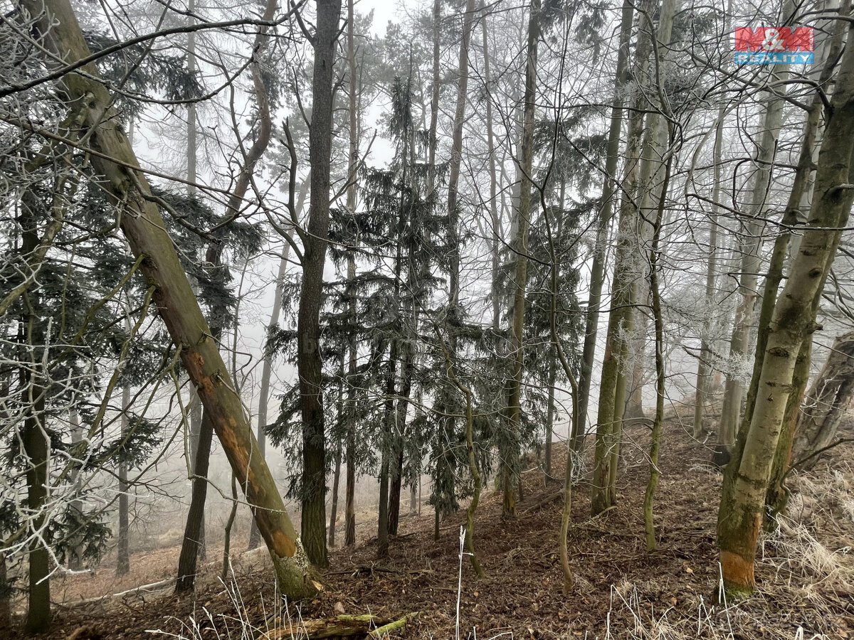 Prodej, les, 20974 m2, Ústí u Staré Paky