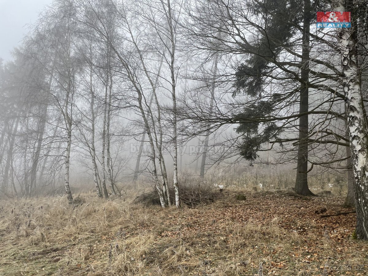Prodej, les, 20974 m2, Ústí u Staré Paky