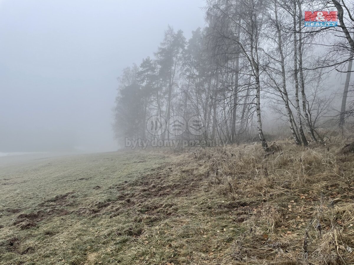 Prodej, les, 20974 m2, Ústí u Staré Paky