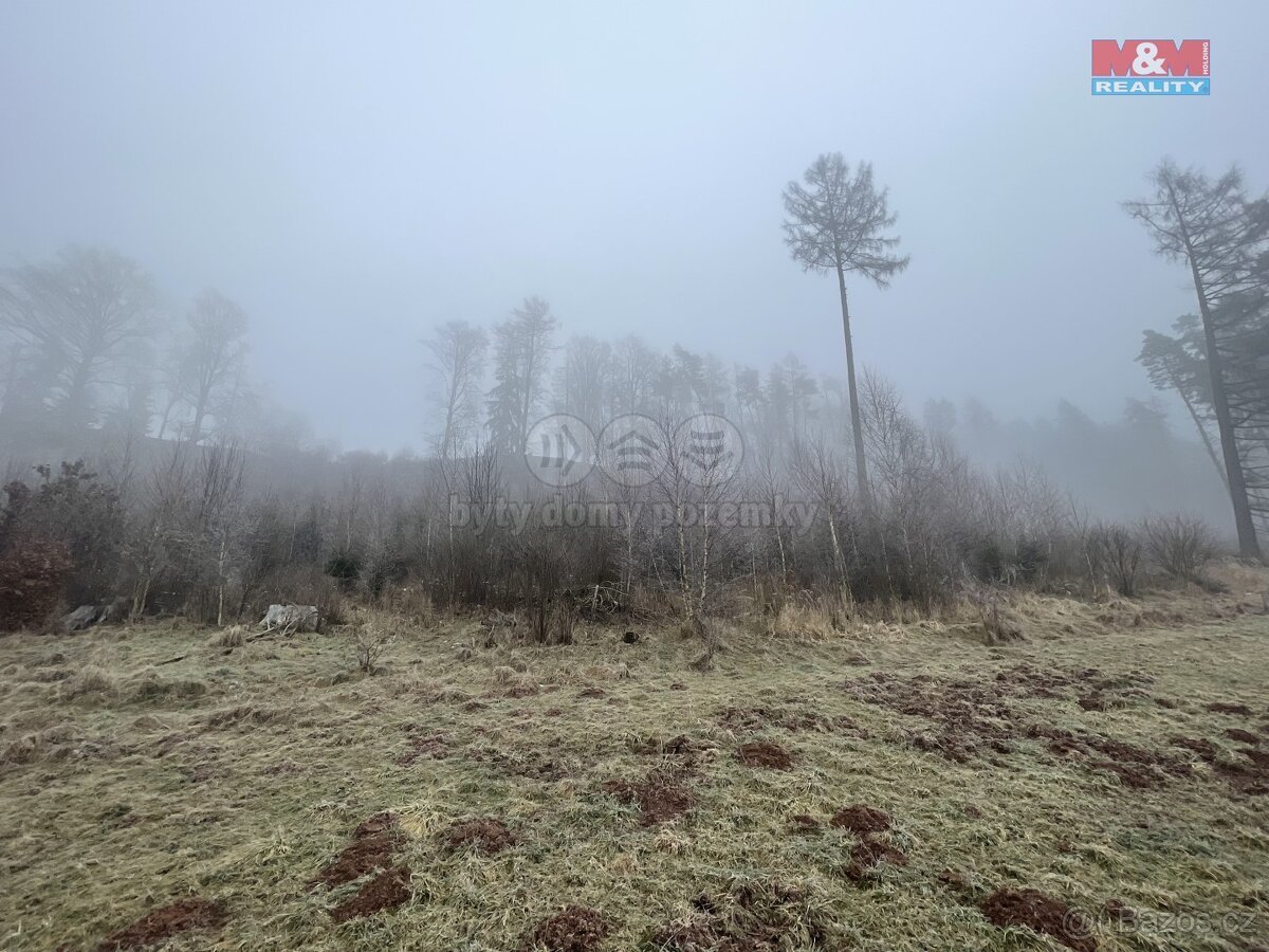 Prodej, les, 20974 m2, Ústí u Staré Paky
