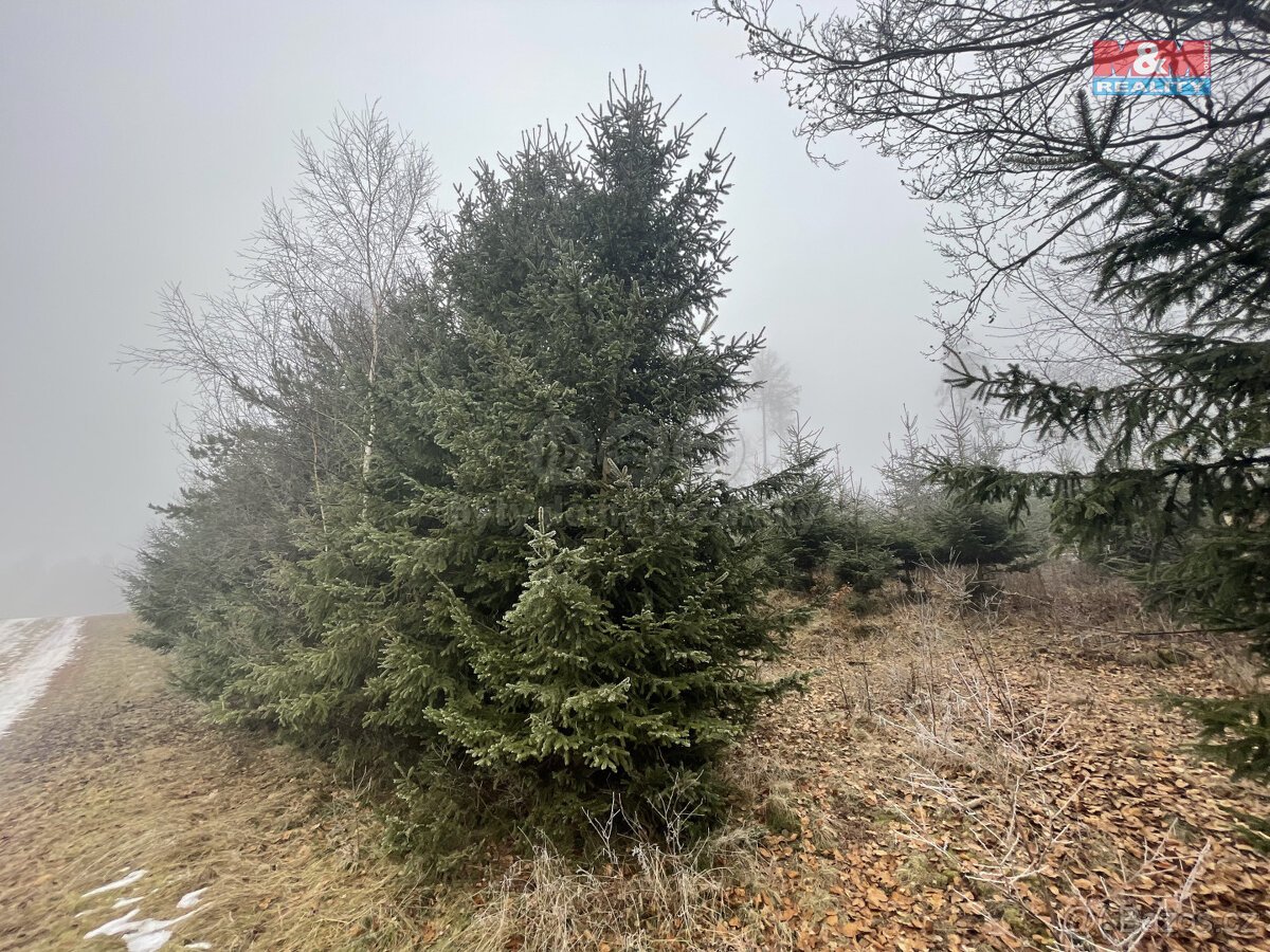 Prodej, les, 20974 m2, Ústí u Staré Paky