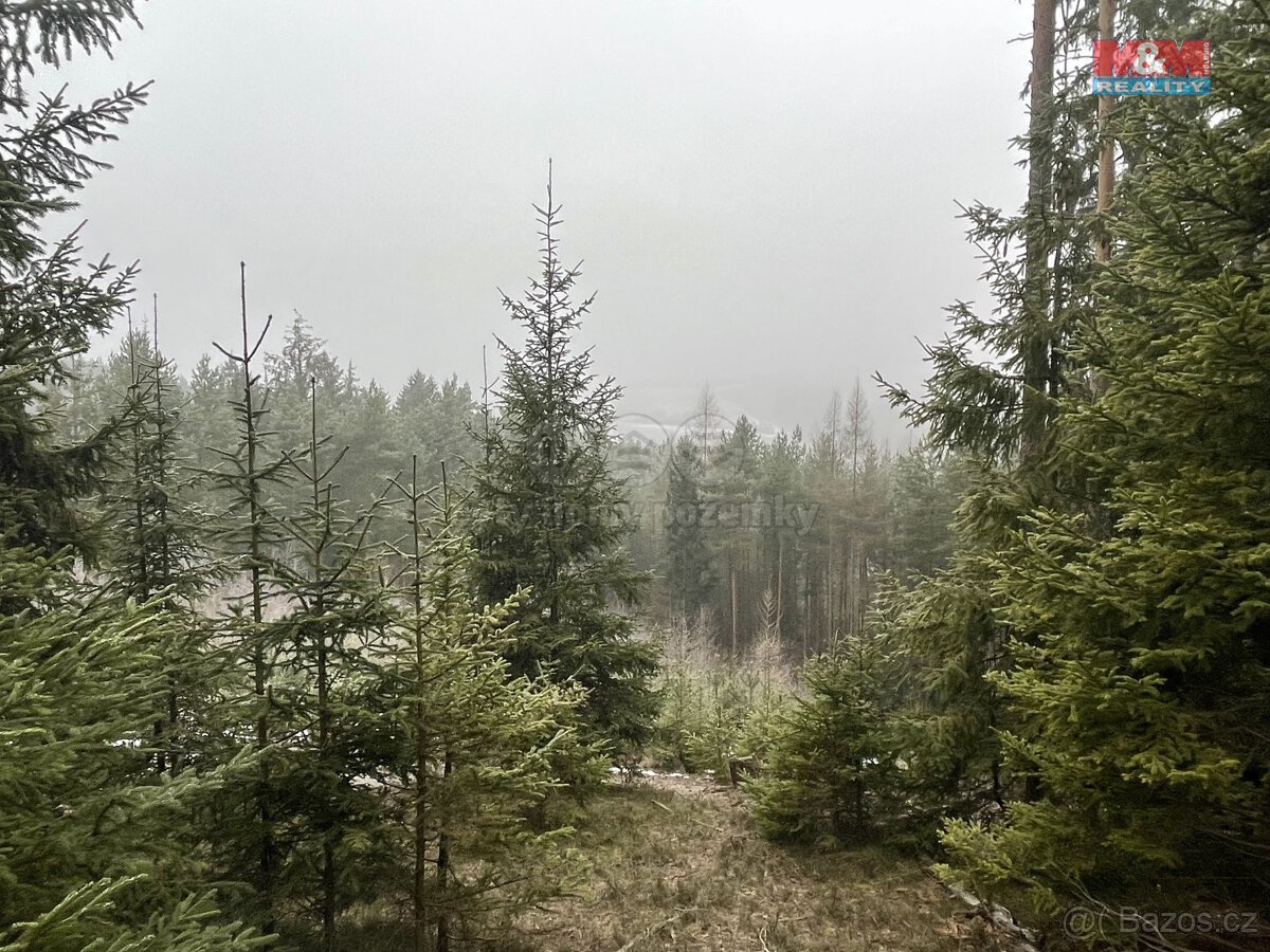 Prodej, les, 13753 m2, Úbislavice, Stav