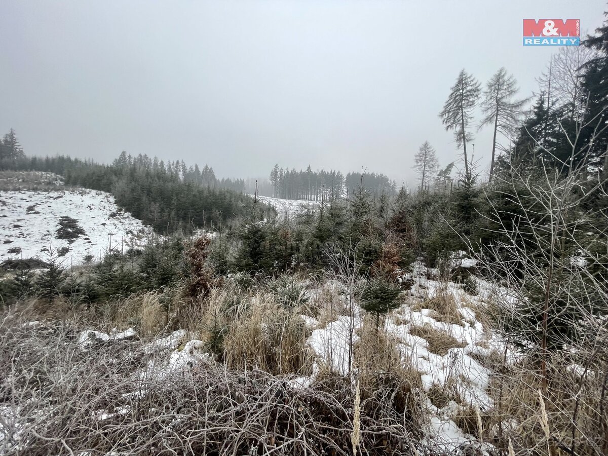 Prodej, les, 4368 m2, Stupná, Vidochov